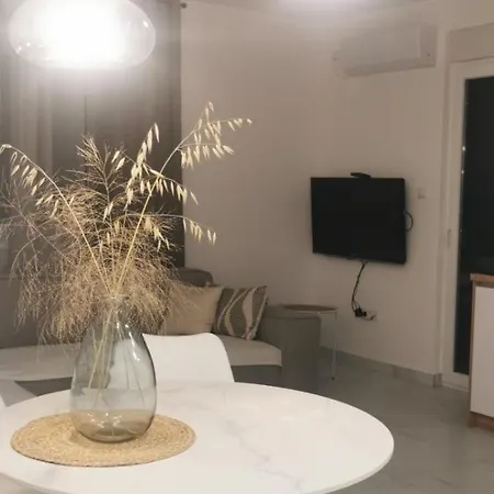 Simon Daire Banja Koviljača