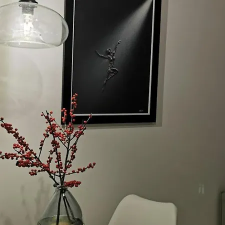 Appartement Simon Banja Koviljača