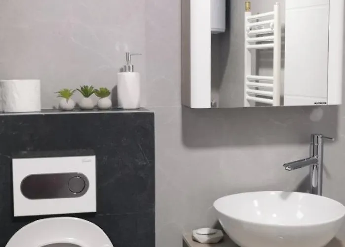 Apartament Simon Banja Koviljača