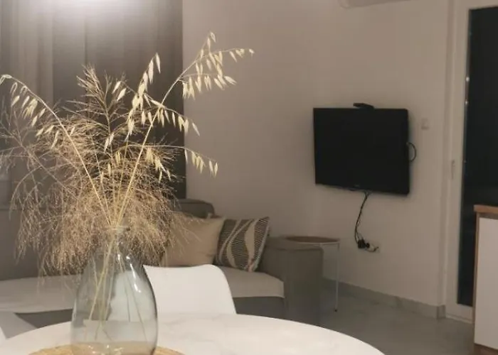 Simon Apartament Banja Koviljača